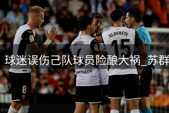 球迷误伤己队球员险酿大祸 苏群解读赛场风波